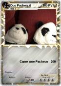 Duo Pachequil