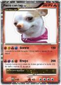 Perro con lag