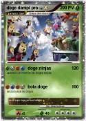 doge danipi pro