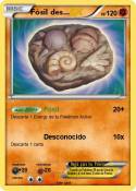 Fósil des...
