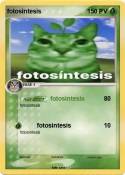 fotosintesis