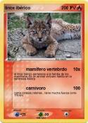 lince ibérico