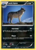canis lupus