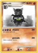 gato