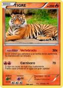 TIGRE