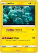 porifera
