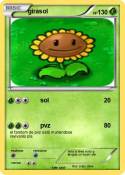 girasol