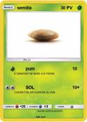 semilla