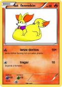 fat fennekin
