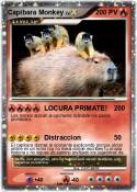 Capibara Monkey