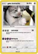 gato borracho