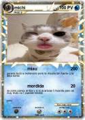 michi