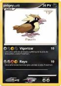 pidgey