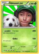 FERNANFLOO