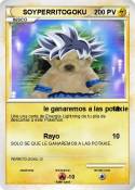 SOYPERRITOGOKU