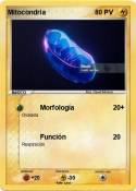 Mitocondria