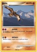 aquila