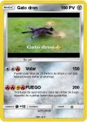Gato dron