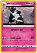 peludin peludin