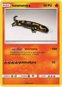 salamandra