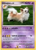chihuatwo