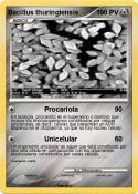 Bacillus