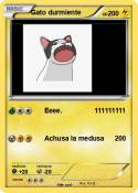 Gato durmiente