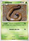 Chilopoda