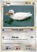Pato