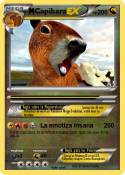Capibara Capibara