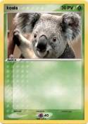 koala