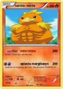 torchic norris torchic norris