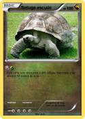 Tortuga escudo Tortuga escudo