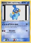 Mudkip 100%