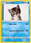 Ay mi gatito
