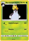 Big chungas