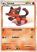 Torracat