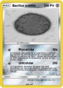 Bacillus