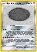 Bacillus