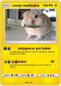 conejo