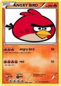 ANGRY BIRD
