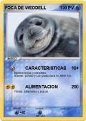 FOCA DE WEDDELL