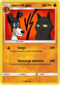 perro VS gato