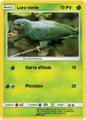 Loro verde