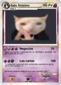 Gato finísimo