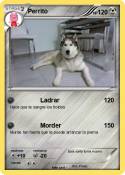 Perrito