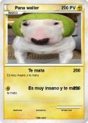 Pana walter