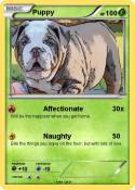 Puppy