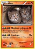 Lince