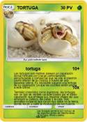 TORTUGA TORTUGA